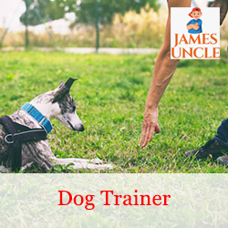 Dog trainer Mr. Anushtup Mukherjee in Baruipur